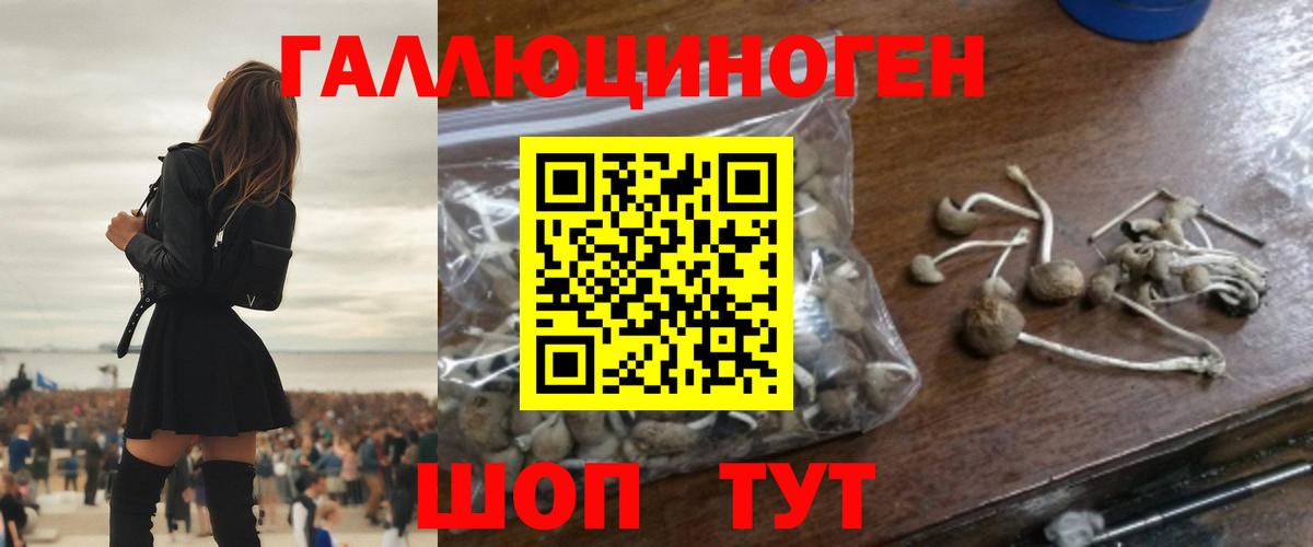 Галлюциногенные грибы Psilocybine cubensis  Вход с VPN  Волгоград 